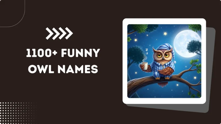 1100+ Funny Owl Names
