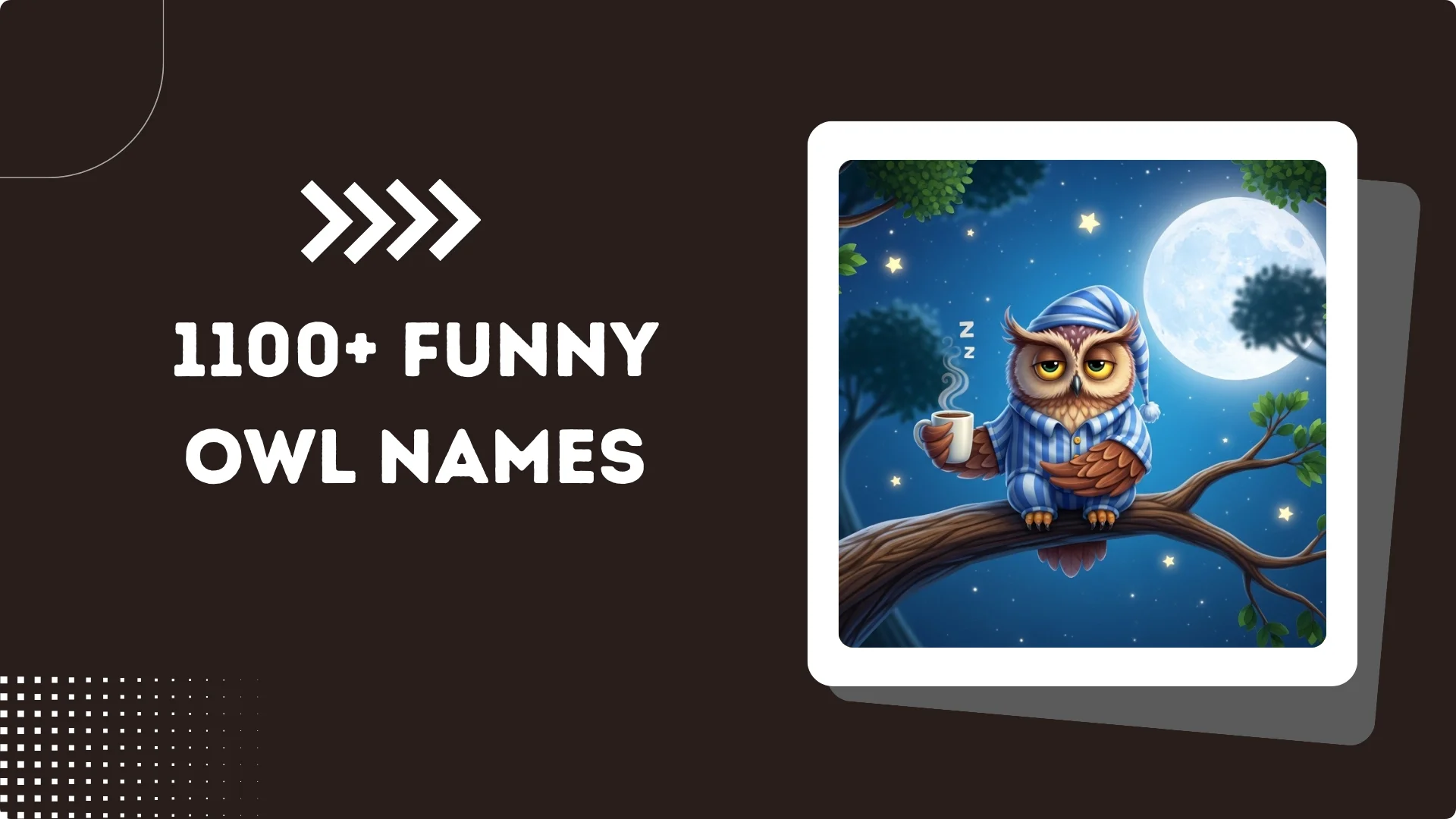 1100+ Funny Owl Names