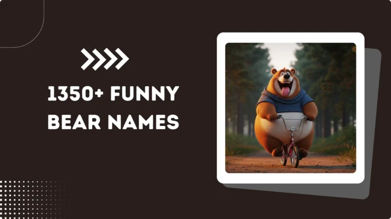 1350+ Funny Bear Names