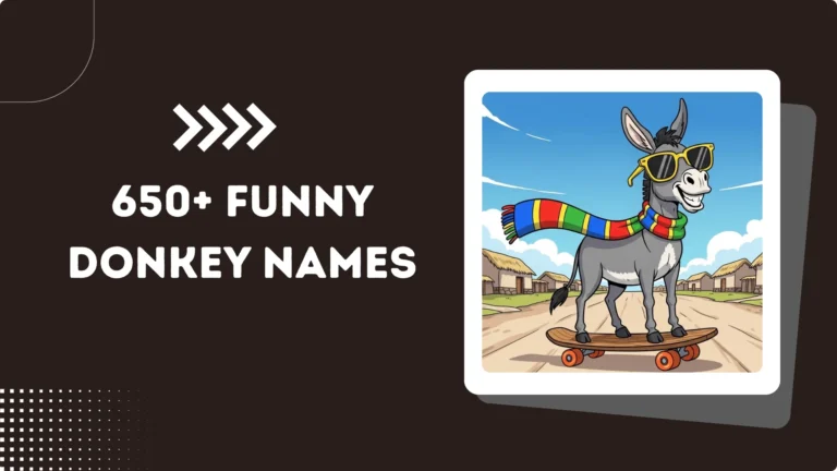 650+ Funny Donkey Names