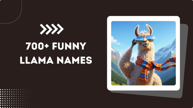 700+ Funny Llama Names