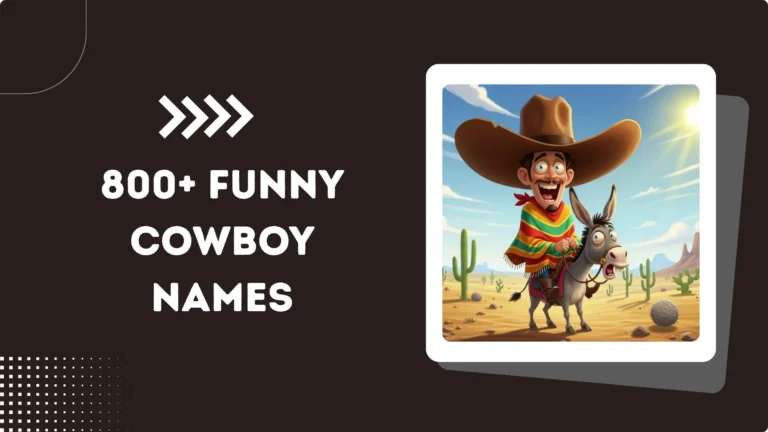 800+ Funny Cowboy Names