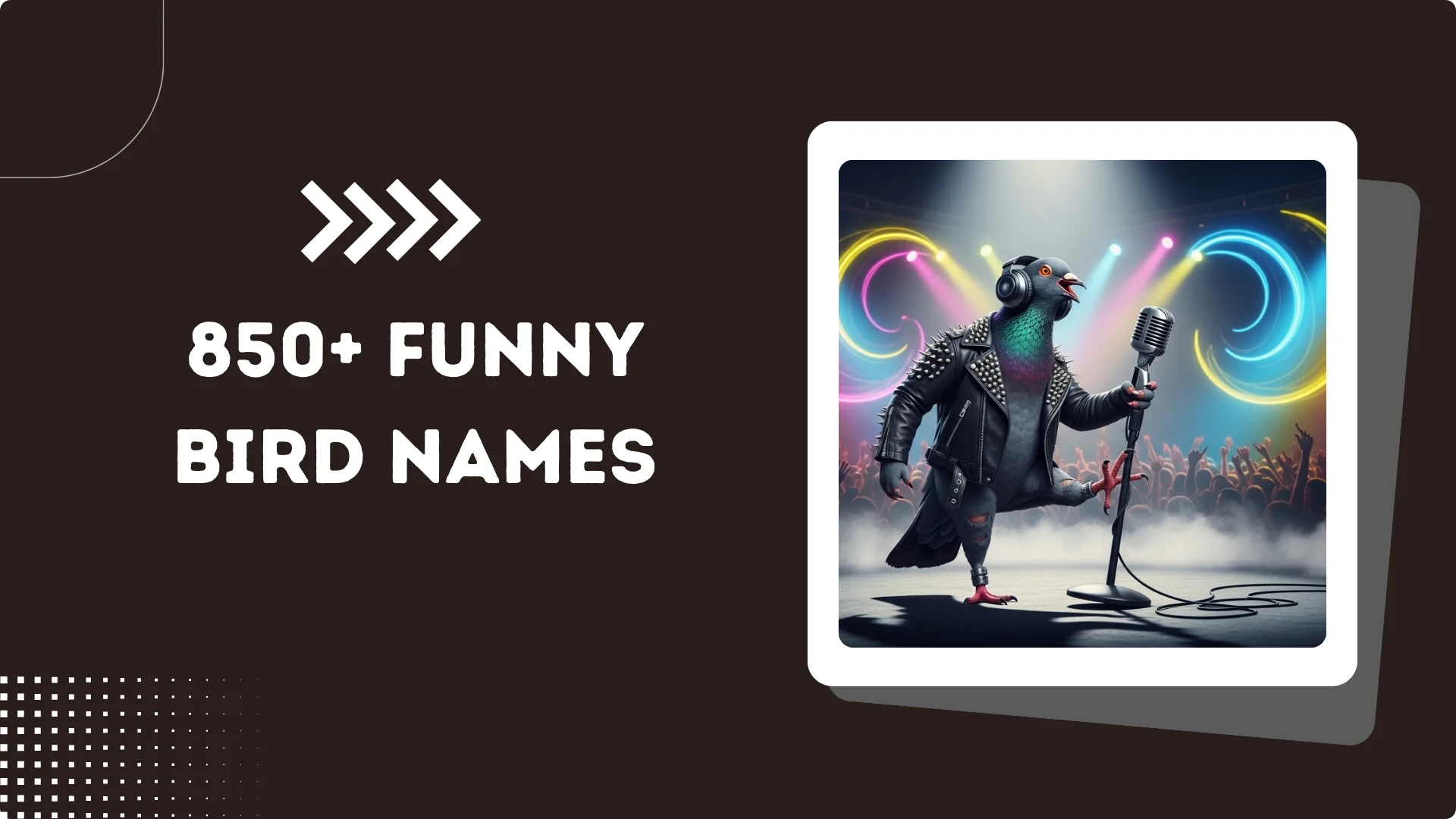 850+ Funny Bird Names