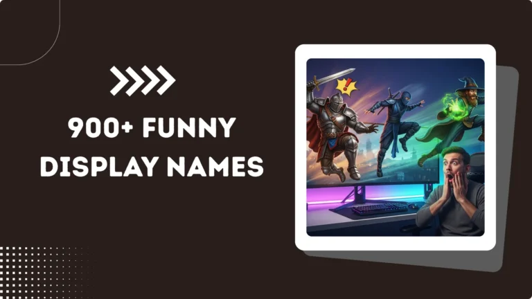900+ Funny Display Names