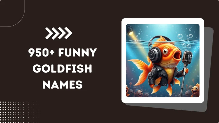 950+ Funny Goldfish Names